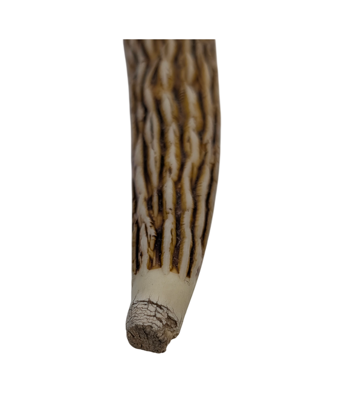 Japanese Stainless Steel Carving Fork with Faux Antler Handle