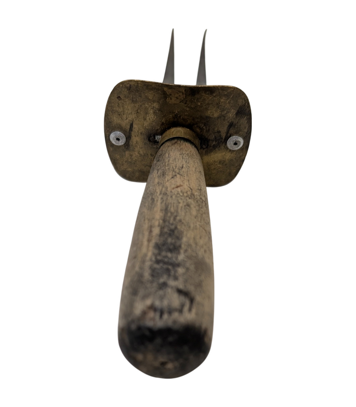 recdzr8Ht1GPuc20r