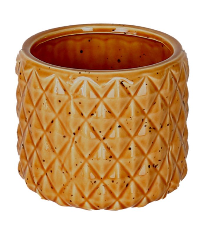 ORANGE PINEAPPLE POT LARGE | Ink You