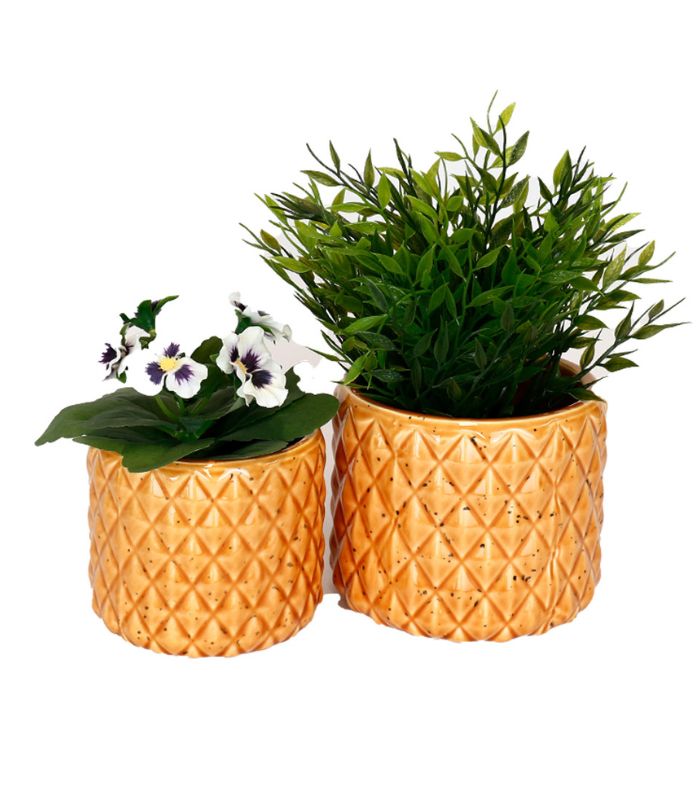 ORANGE PINEAPPLE POT LARGE | Ink You