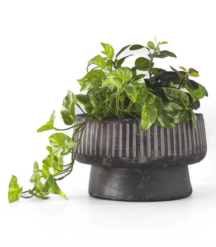 Pot - Zion - Black - 31x19x31 | Ink You