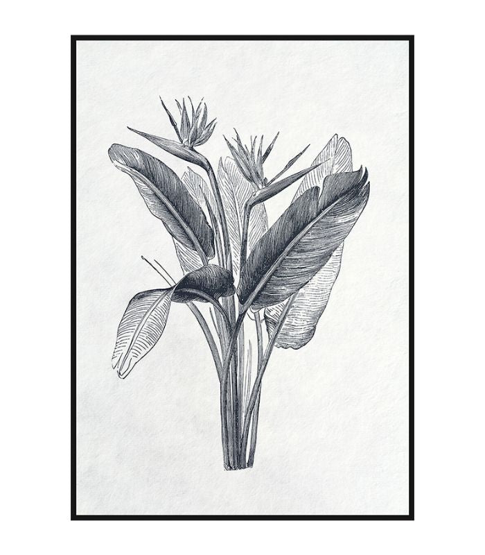 Framed Canvas Artwork - Greyscale Palm of Paradise - 50x70cm | Ink You