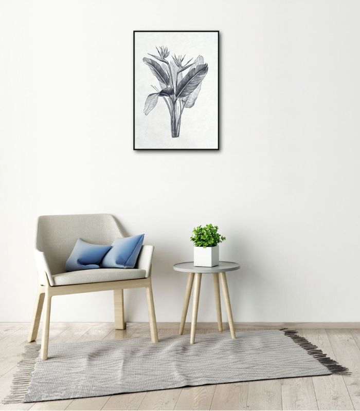 Framed Canvas Artwork - Greyscale Palm of Paradise - 50x70cm | Ink You