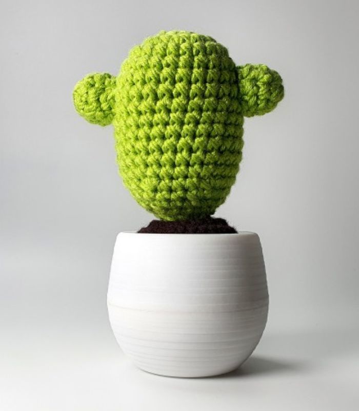 DIY Crochet Cactus Kit - Classic