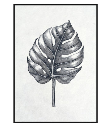 Framed Canvas Artwork - Greyscale Monstera - 50x70cm
