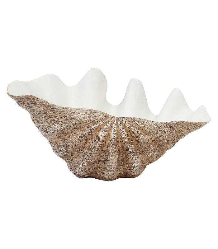 Creative Clam Shell Discover Coastal Charm π Large 38cm Decorative Clam Shell ποΈ | Alley ...