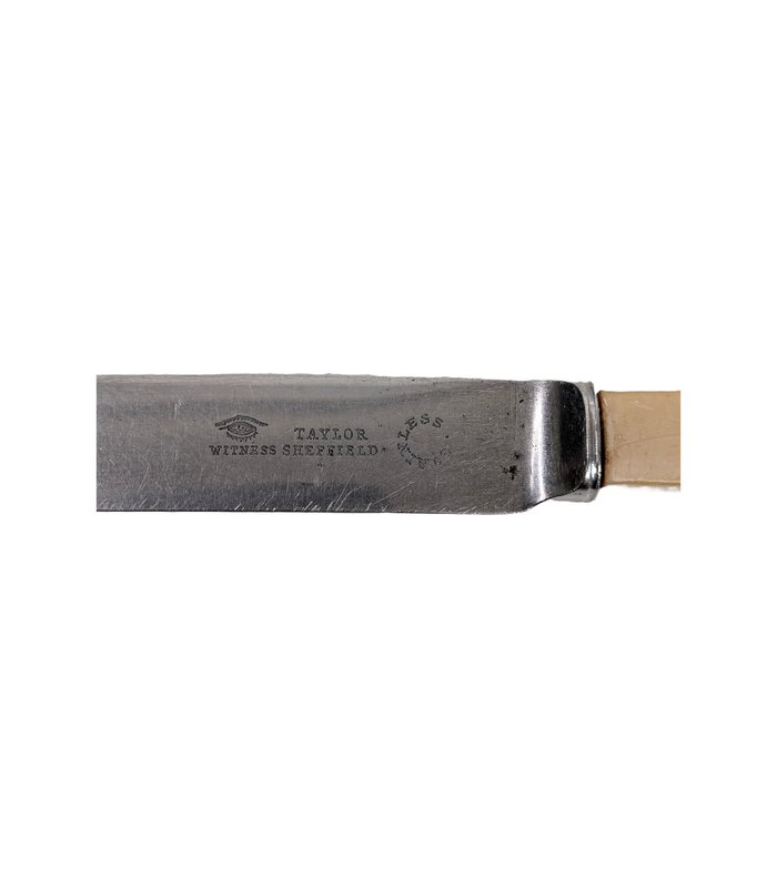 Taylor Witness Sheffield Stainless Table Knife