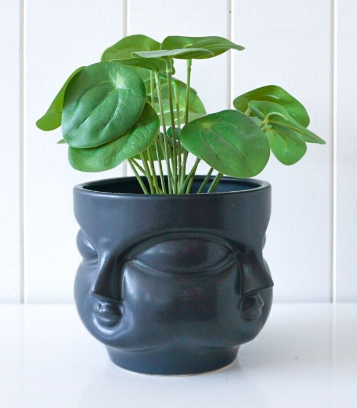 Squish Pot Planter