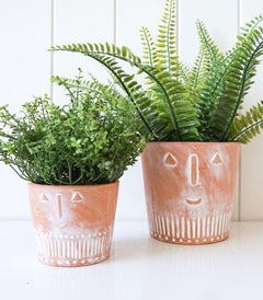 Natural Pot - Basil | Ink You